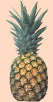 Ананас