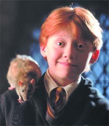 Руперт Грин