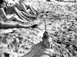 Голова в песке