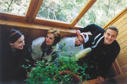 Балаган Лимитед