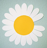 D-kalendar0_romashka